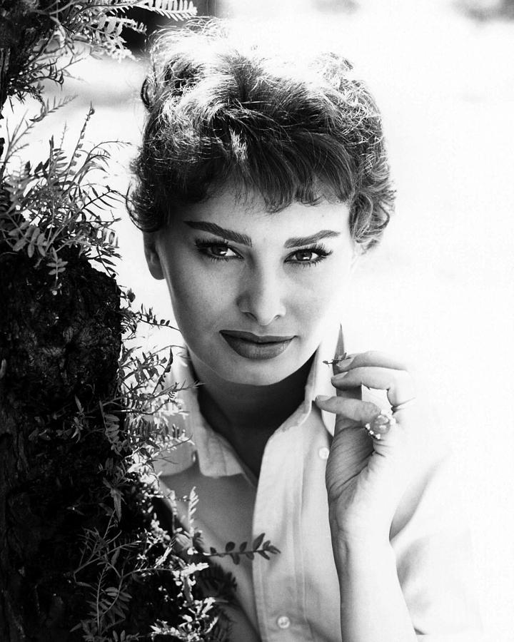 Portrait Of Sophia Loren Photograph by Globe Photos - Pixels