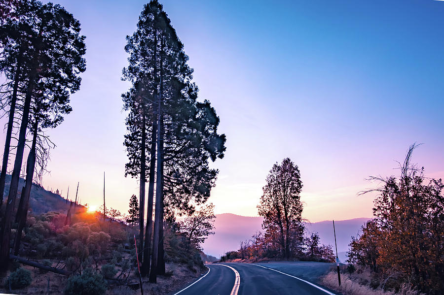 Road Through Yosemite National Park Early Morning #8 Photograph by Alex Grichenko