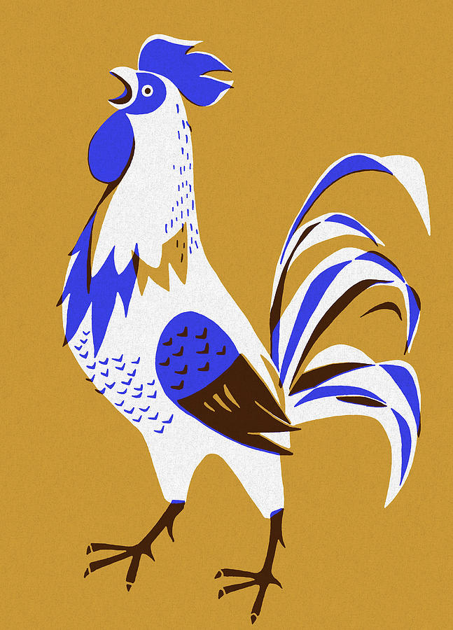 Chicken Drawing - Rooster #8 by CSA Images