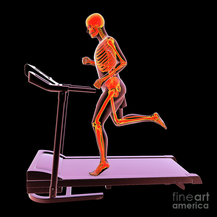 Sports Photograph - Skeleton Running On A Treadmill #8 by Kateryna Kon/science Photo Library