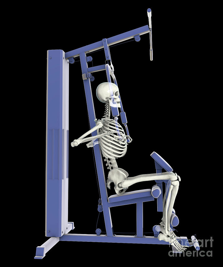 Skeleton Training On A Hammer Strength Machine #8 Photograph by Kateryna Kon/science Photo Library