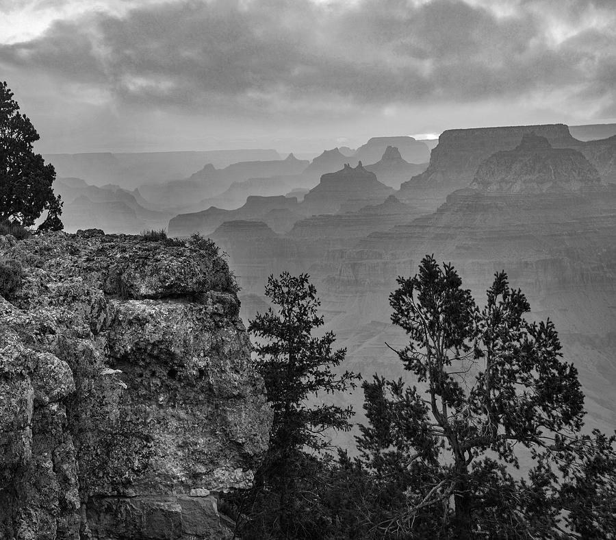 South Rim, Grand Canyon #8 Photograph by Tim Fitzharris