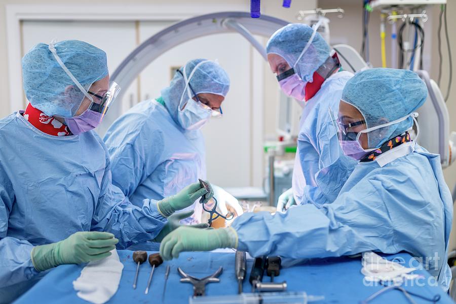 Spinal Surgeons Performing An Operation #8 Photograph by Jim Varney/science Photo Library