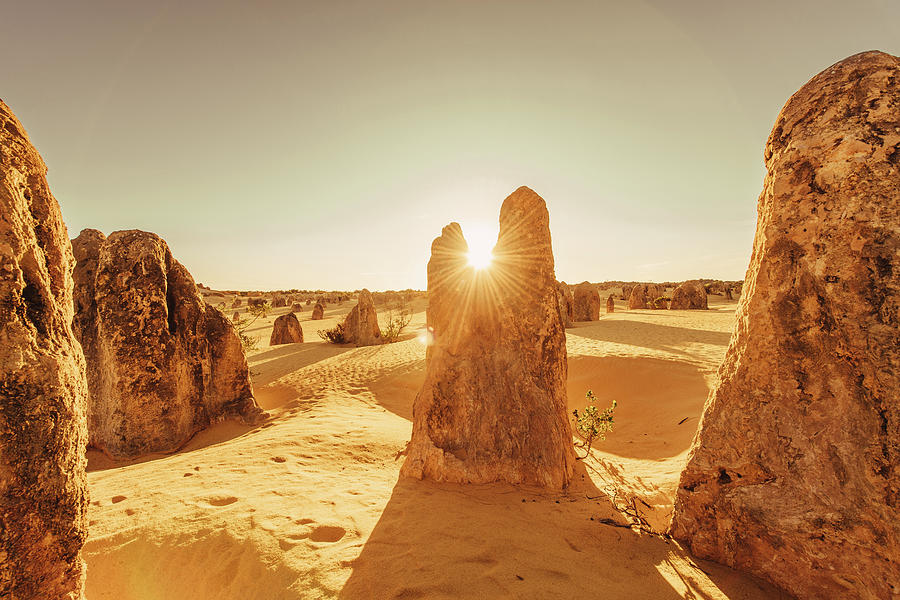 Sunrise At The Pinnacles In The Nambung National Park In Western Australia Australia, Oceania; #8 Photograph by Christian Frumolt