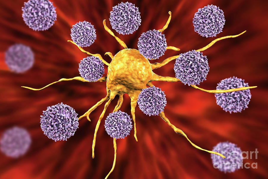 T-lymphocytes Attacking Cancer Cell #8 Photograph by Kateryna Kon/science Photo Library