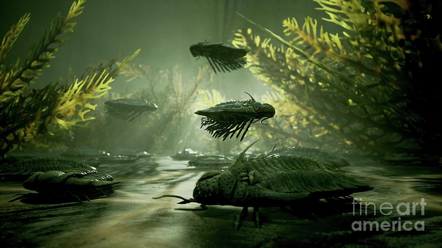 Trilobites In Palaeozoic Sea Photograph by Richard Jones/science Photo ...