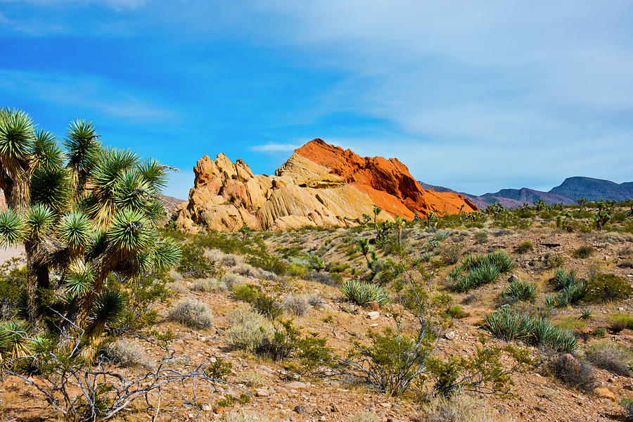 bank of nevada mesquite nevada