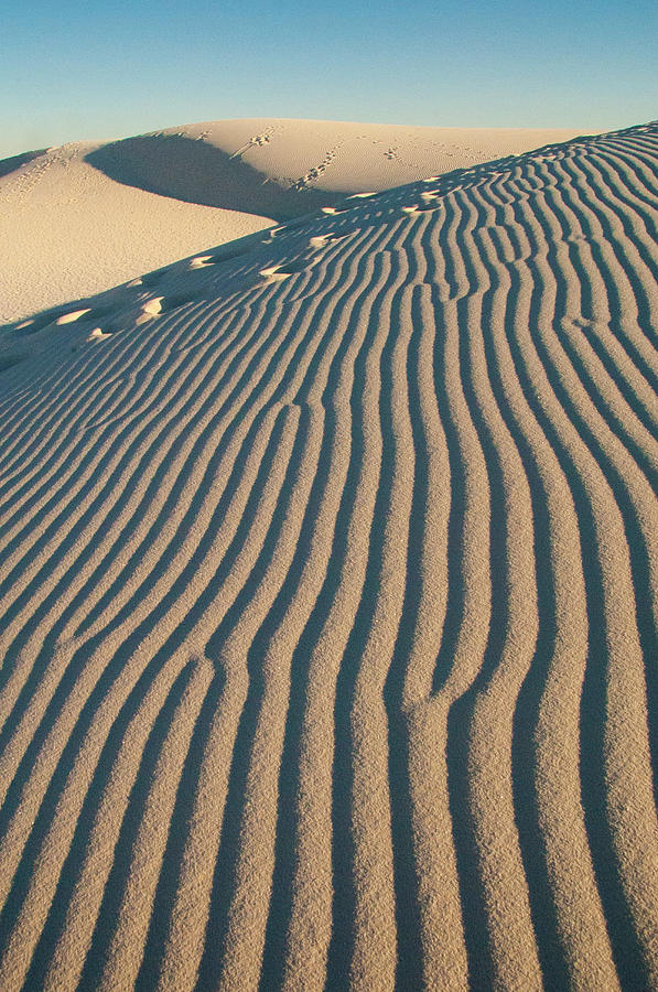 White Sands National Monument #8 Photograph by Donovan Reese