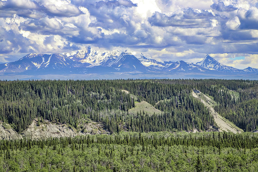 Yukon Canada #8 Photograph by Paul James Bannerman