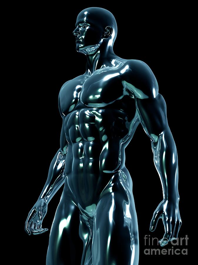Athlete Photograph - Male Anatomy #83 by Sebastian Kaulitzki/science Photo Library