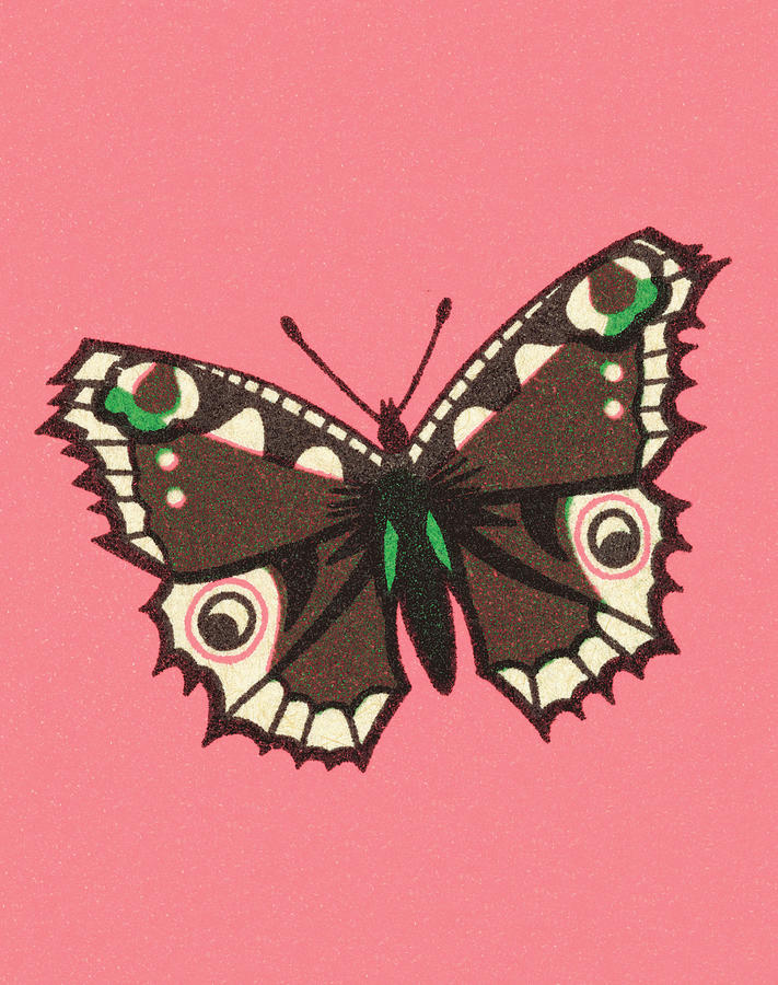Butterfly Drawing - Butterfly #84 by CSA Images