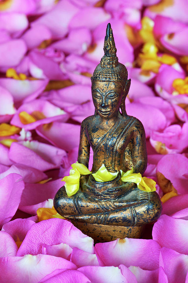 Buddha Photograph - 841-453 by Robert Harding Picture Library