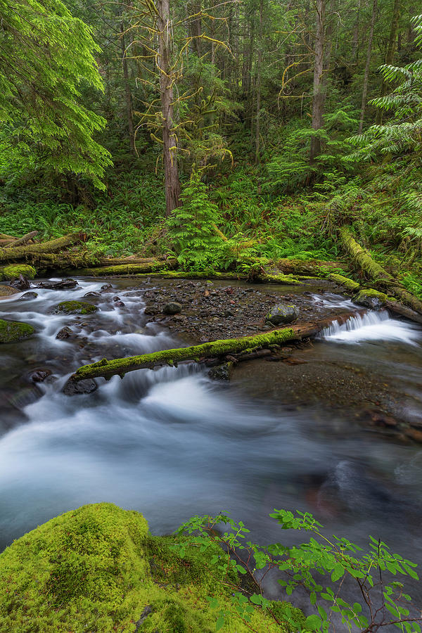 USA, Washington State, Olympic National Photograph by Jaynes Gallery ...