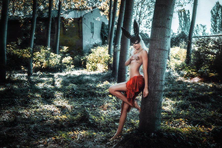 8704 by Traven Milovich 8704 by Traven Milovich