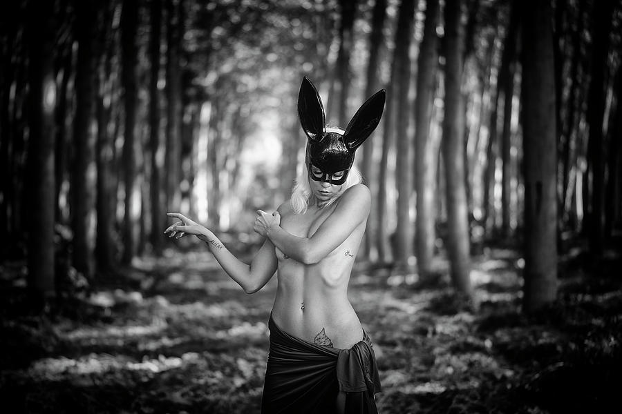 8762 by Traven Milovich 8762 by Traven Milovich