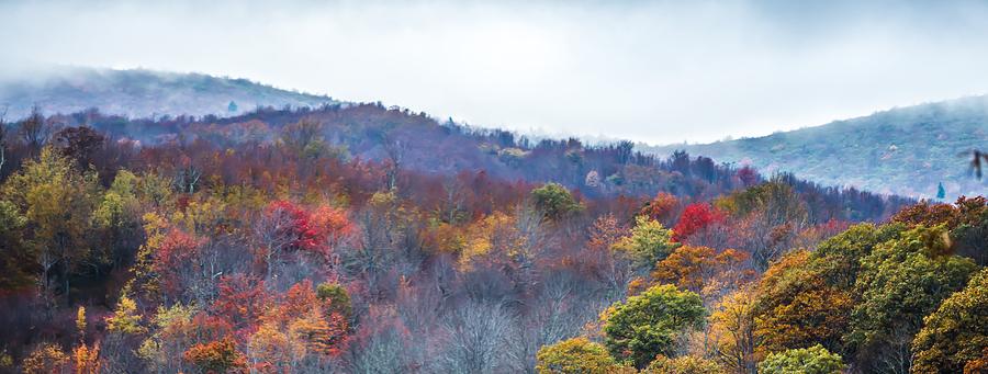 Blue Ridge And Smoky Mountains Changing Color In Fall #88 Photograph by Alex Grichenko