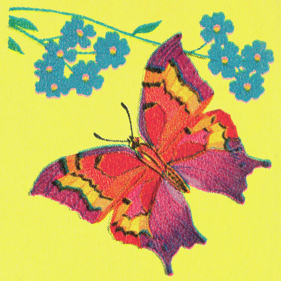 Butterfly Drawing - Butterfly #89 by CSA Images