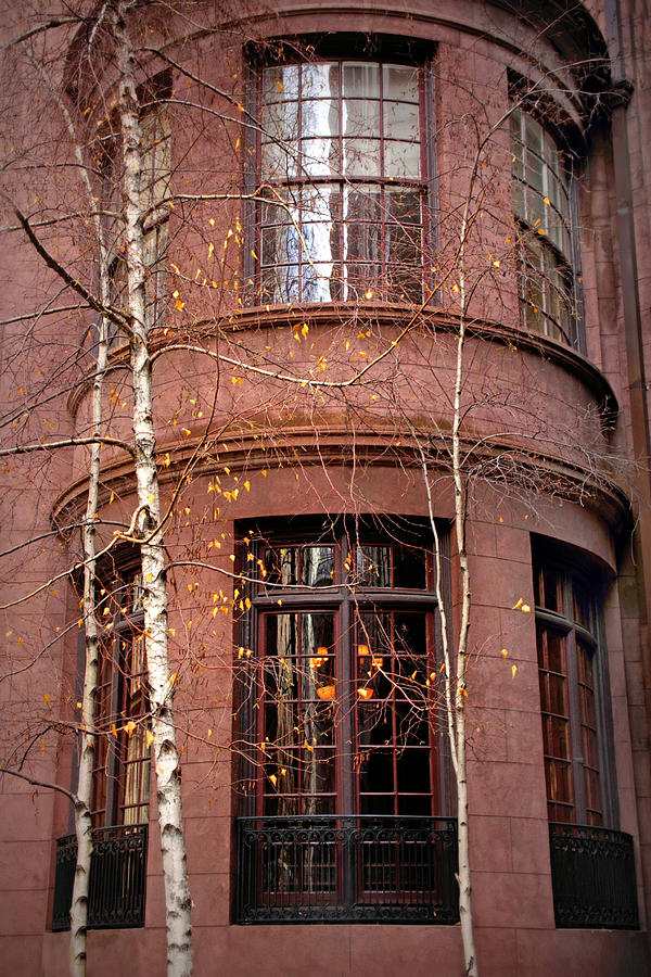 Brownstone and Birch  Photograph by Jessica Jenney