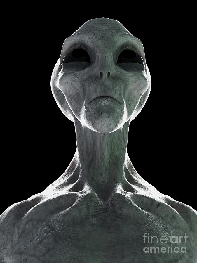 Alien Photograph by Sebastian Kaulitzki/science Photo Library | Fine ...