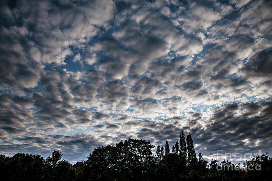Altocumulus Stratiformis Clouds #9 Photograph by Stephen Burt/science Photo Library