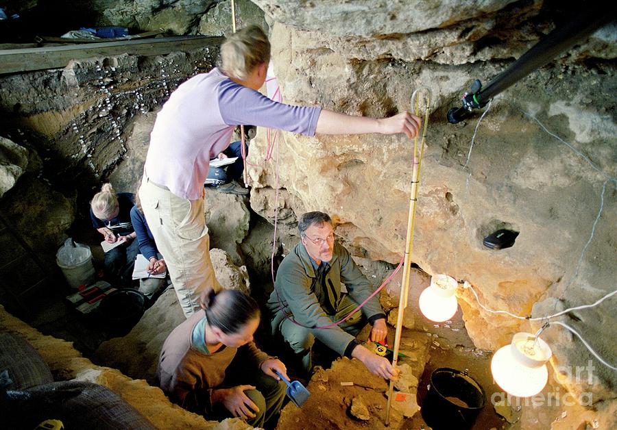 Archaeological Excavation #9 Photograph By John Reader/science Photo ...