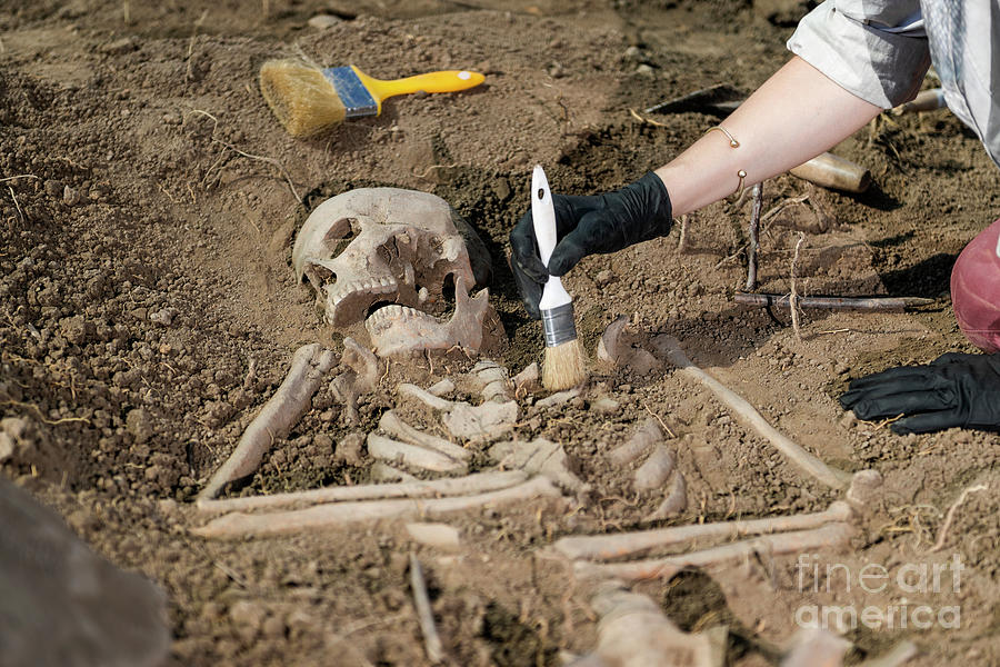 Archaeologist Excavating Skeleton #9 Photograph by Microgen Images/science Photo Library
