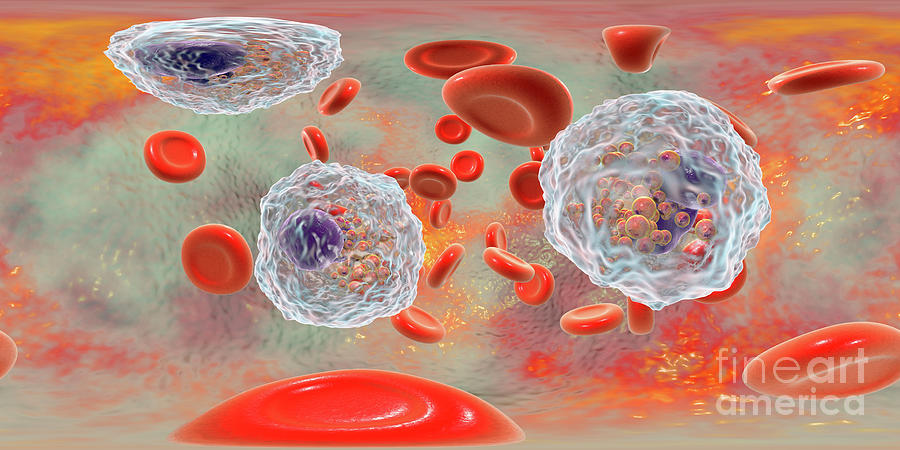 Blood Smear With Numerous Eosinophils #9 By Kateryna Kon Science Photo 