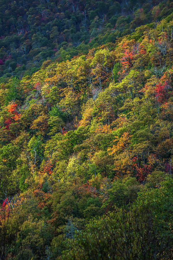 Blue Ridge And Smoky Mountains Changing Color In Fall #9 Photograph by Alex Grichenko