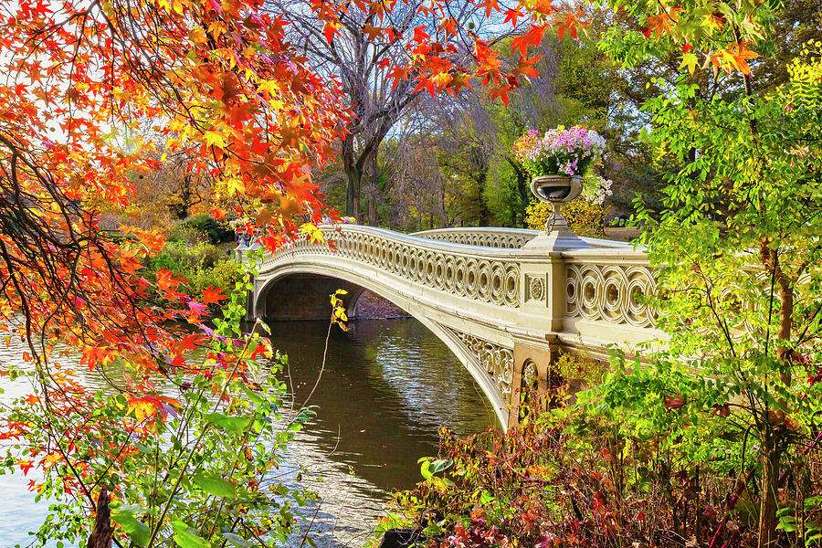 Bow Bridge In Central Park, Manhattan Digital Art by Claudia Uripos ...