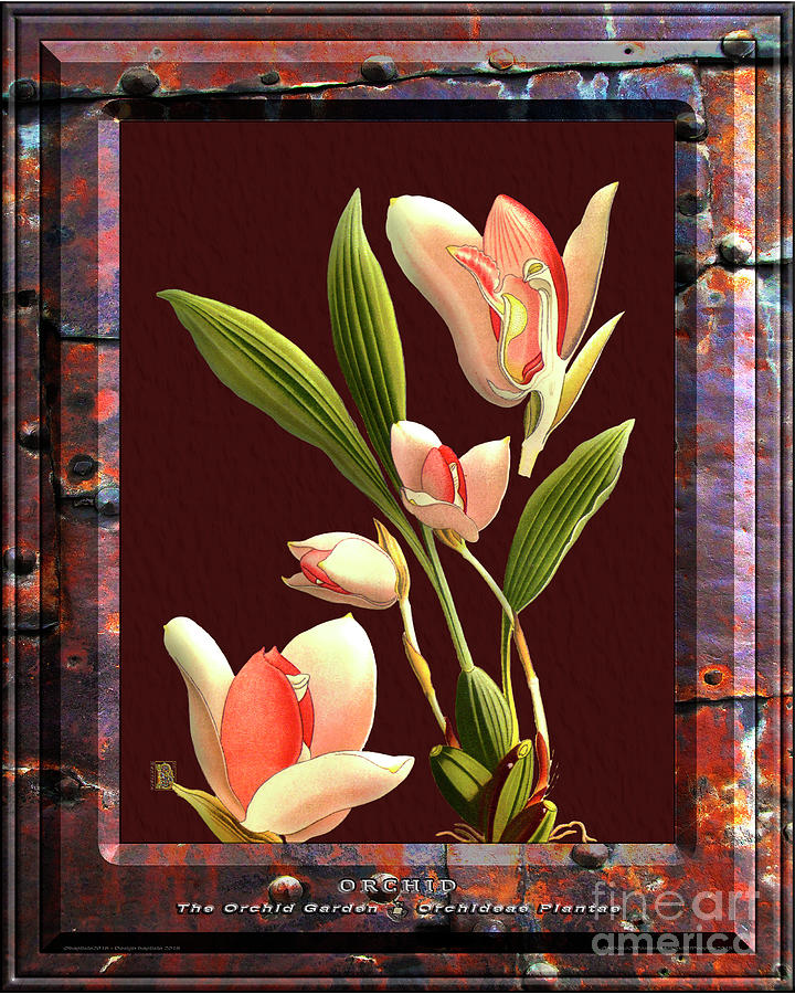 Classic Vintage Orchid And Hyper-realism Painting Of Rusted Metal Mixed Media
