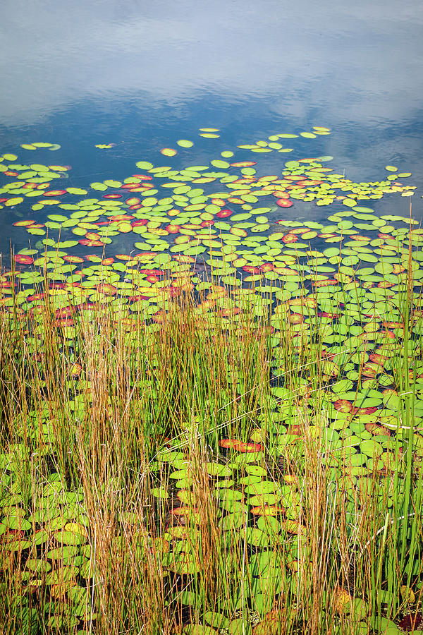 Dents Run Photograph by Steve Konya II | Fine Art America