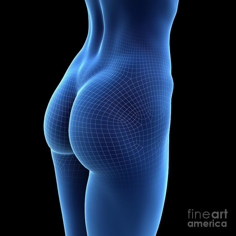 Female Buttocks #9 Photograph by Sebastian Kaulitzki/science Photo Library  - Pixels