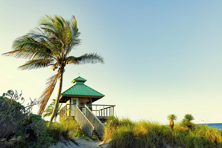 Florida, Boca Raton, Lifeguard Tower With Palm Tree At The Beach #9 Digital Art by Laura Diez