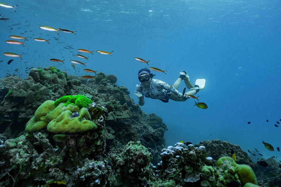 Freediver In The Clear Waters Of The Andaman Sea In Thailand Photograph ...