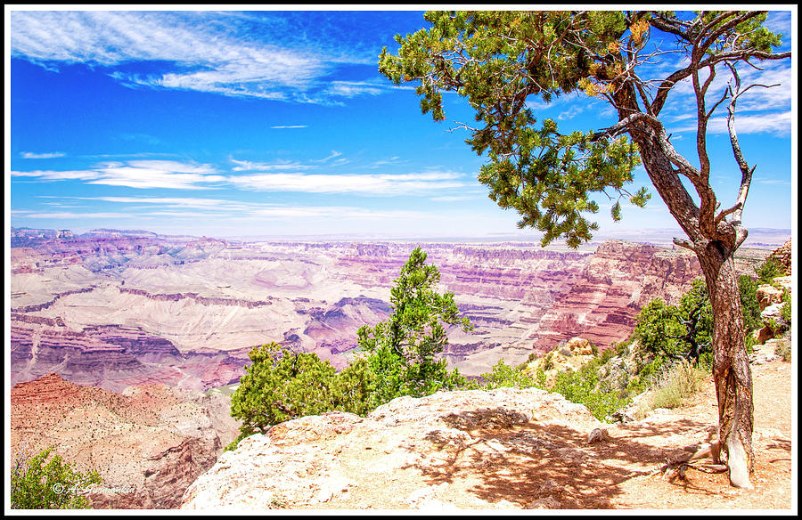 Grand Canyon, Arizona #9 Photograph by A Macarthur Gurmankin