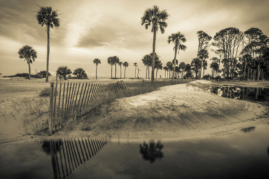 Hunting Island South Carolina Beach Scenes #9 Photograph by Alex Grichenko