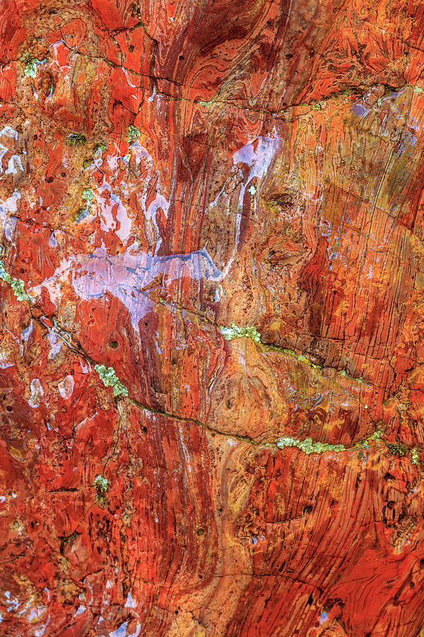 Abstract Photograph - Large, Naturally Polished Rock by Stuart Westmorland Abstract Photograph - Large, Naturally Polished Rock by Stuart Westmorland