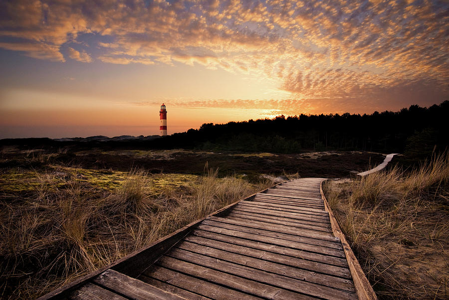 Lighthouse In The Dunes #9 Photograph by Ppampicture
