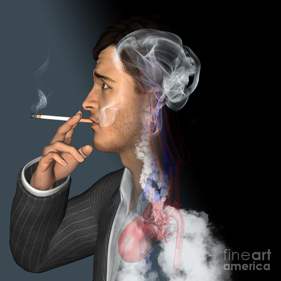 Man Smoking Cigarettes #9 Photograph by Fernando Da Cunha/science Photo Library