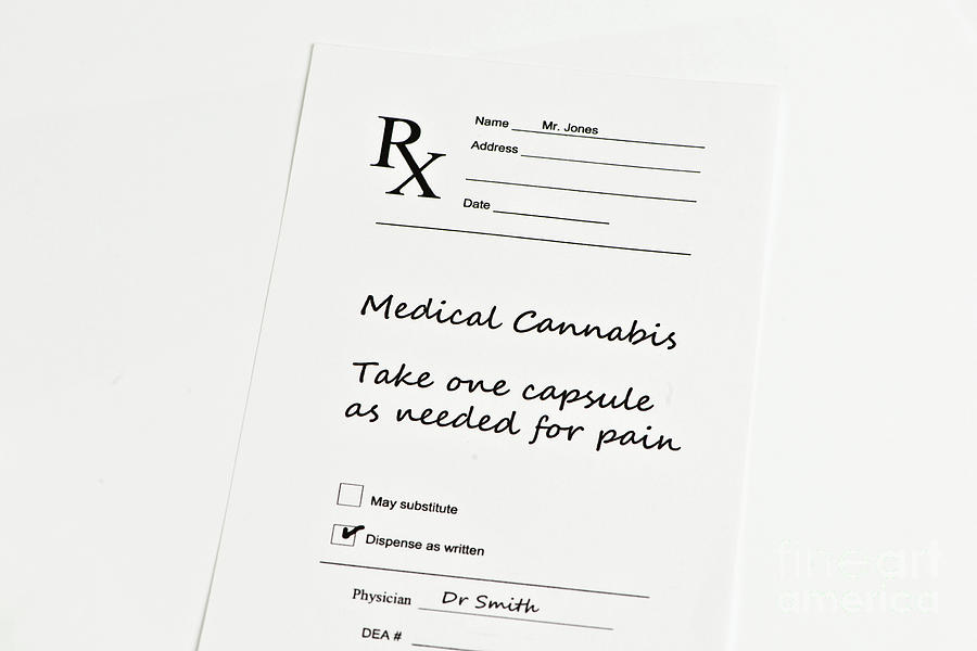 Medical Marijuana #9 by Sherry Yates Young/science Photo Library