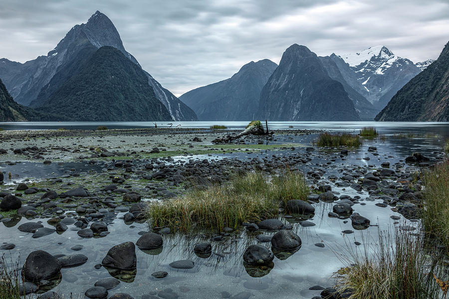 Milford Sound - New Zealand #9 Photograph by Joana Kruse