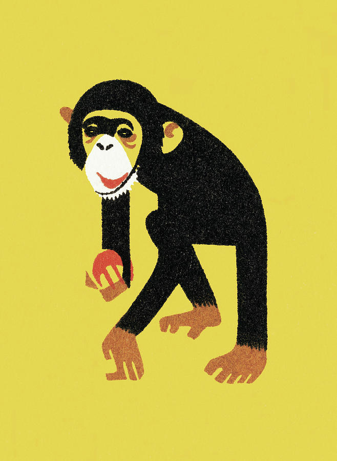 Vintage Drawing - Monkey #9 by CSA Images
