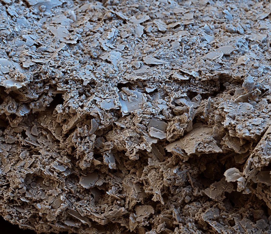 Non-toxic Clay Paint Sem #9 Photograph by Meckes/ottawa