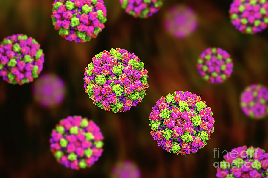 3 Dimensional Photograph - Norovirus #9 by Kateryna Kon/science Photo Library