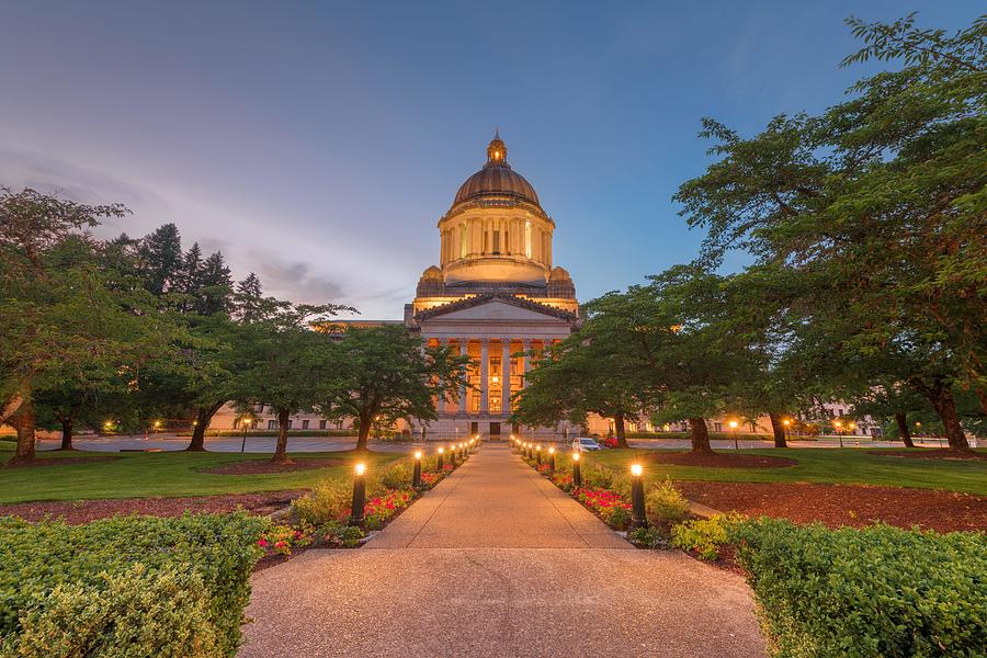 Tree Photograph - Olympia, Washington, Usa State Capitol #9 by Sean Pavone