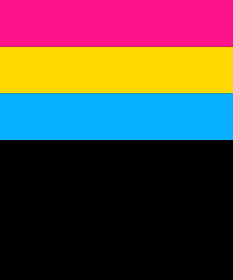 Pansexual Flag Print Lgbtq Pride Gift Idea Digital Art by ...