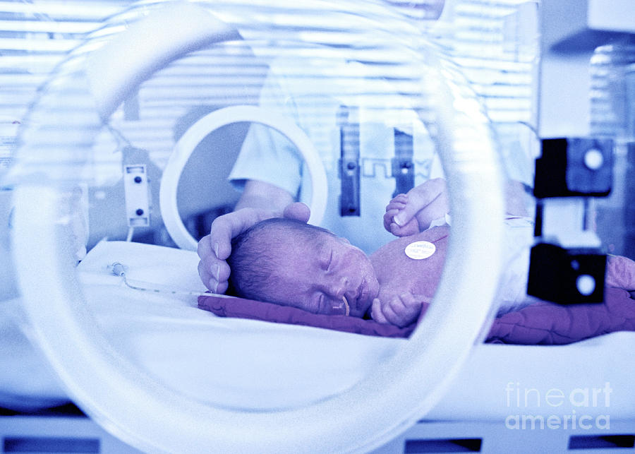 Premature Baby #9 Photograph by Samuel Ashfield/science Photo Library
