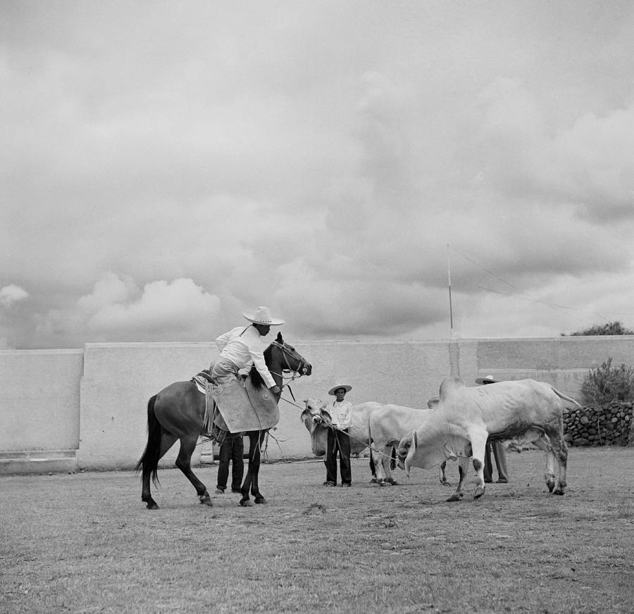 Ranching In Michoacan, Mexico #9 Photograph by Michael Ochs Archives