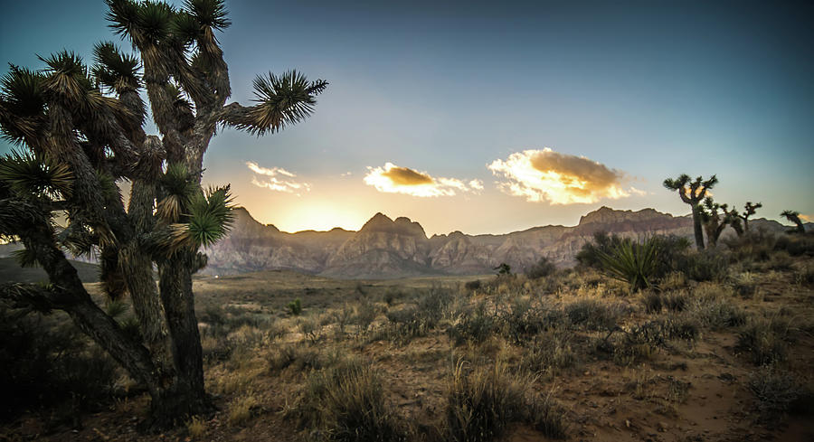 Red Rock Canyon Las Vegas Nevada At Sunset #9 Photograph by Alex Grichenko