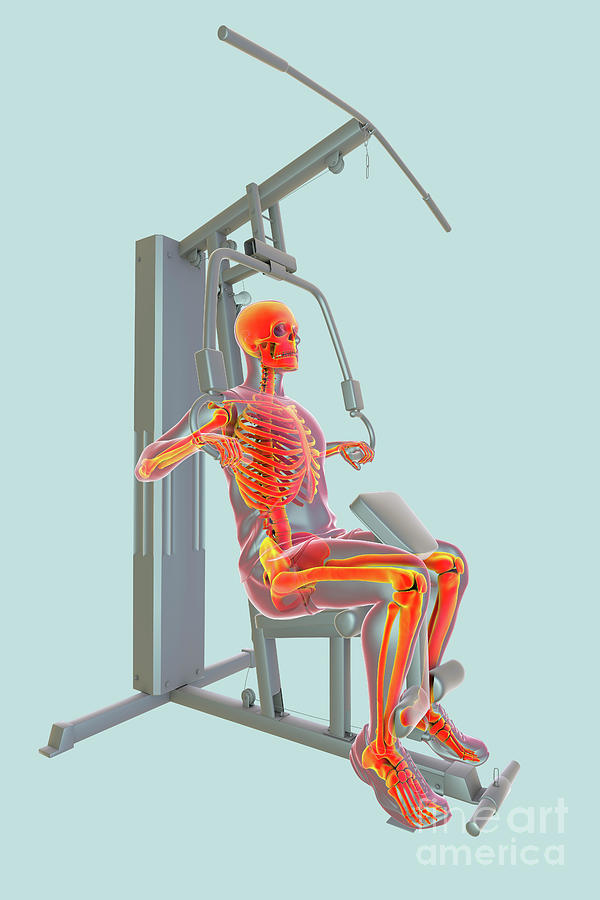 Man Photograph - Skeleton Training On A Hammer Strength Machine #9 by Kateryna Kon/science Photo Library